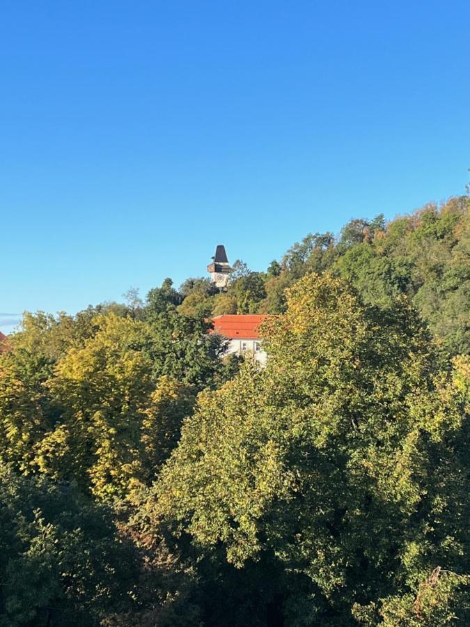 Cityview Apartment Graz Bagian luar foto
